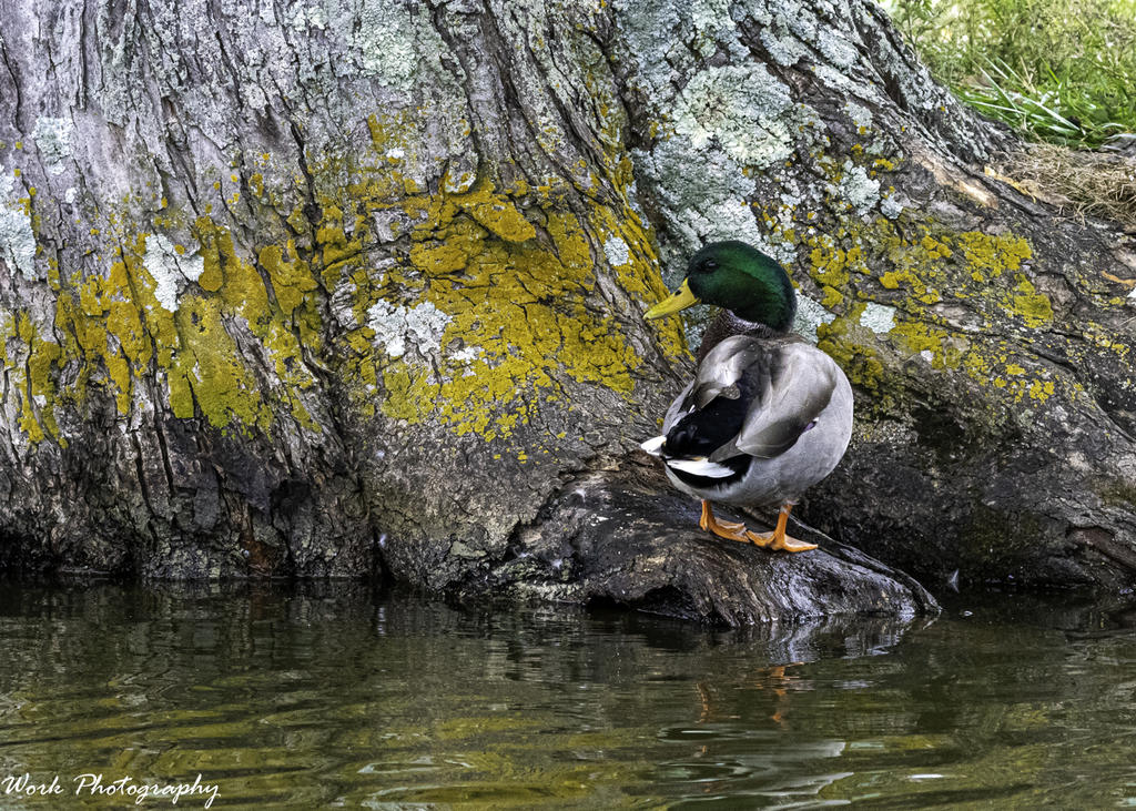 20200927-RD5_3401-Edit.jpg