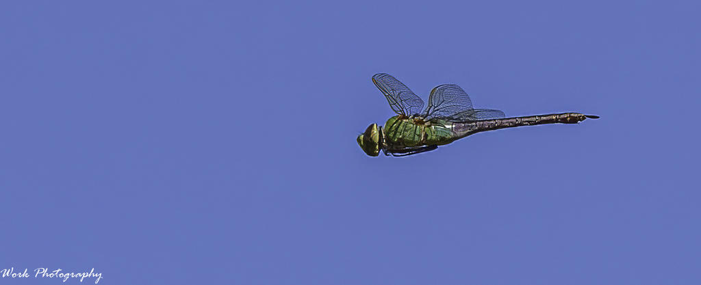 20200930-RD5_3519-Edit.jpg