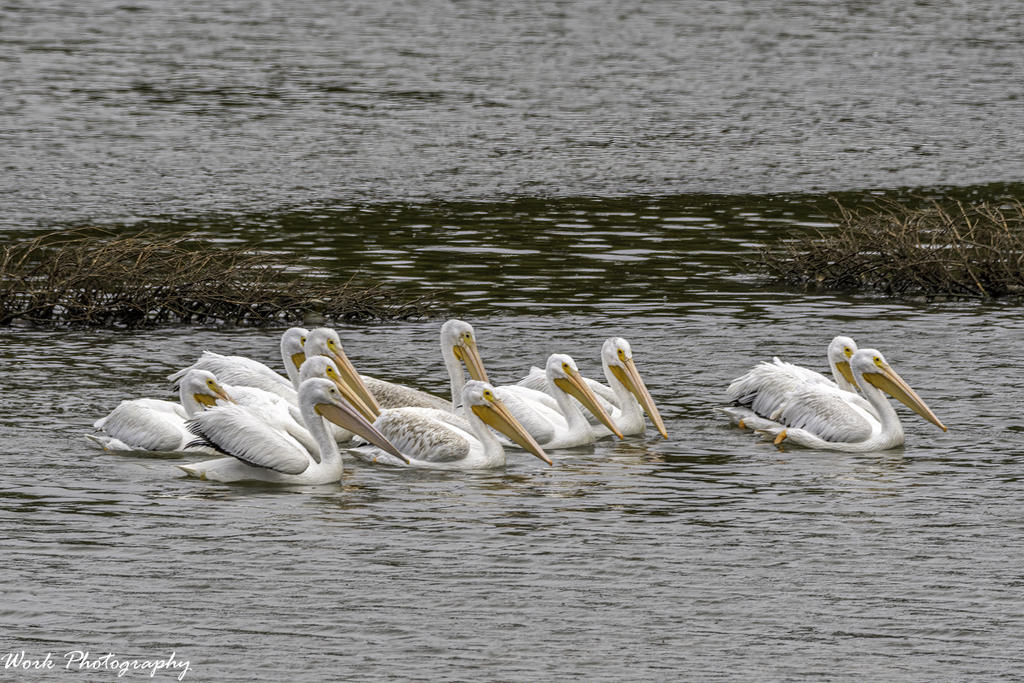 20201015-RD5_3904-Edit.jpg