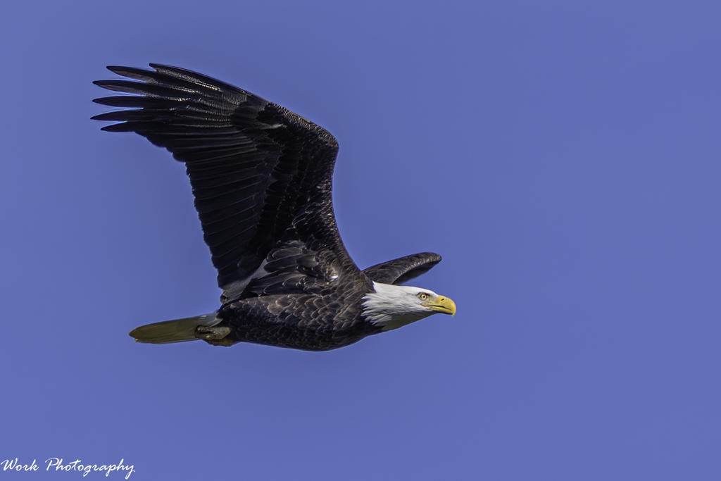 20201017-RD5_4338-Edit.jpg