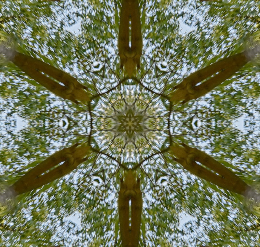 2021-04-29 16.40.30-1-nik-kaledoscope-s.jpg