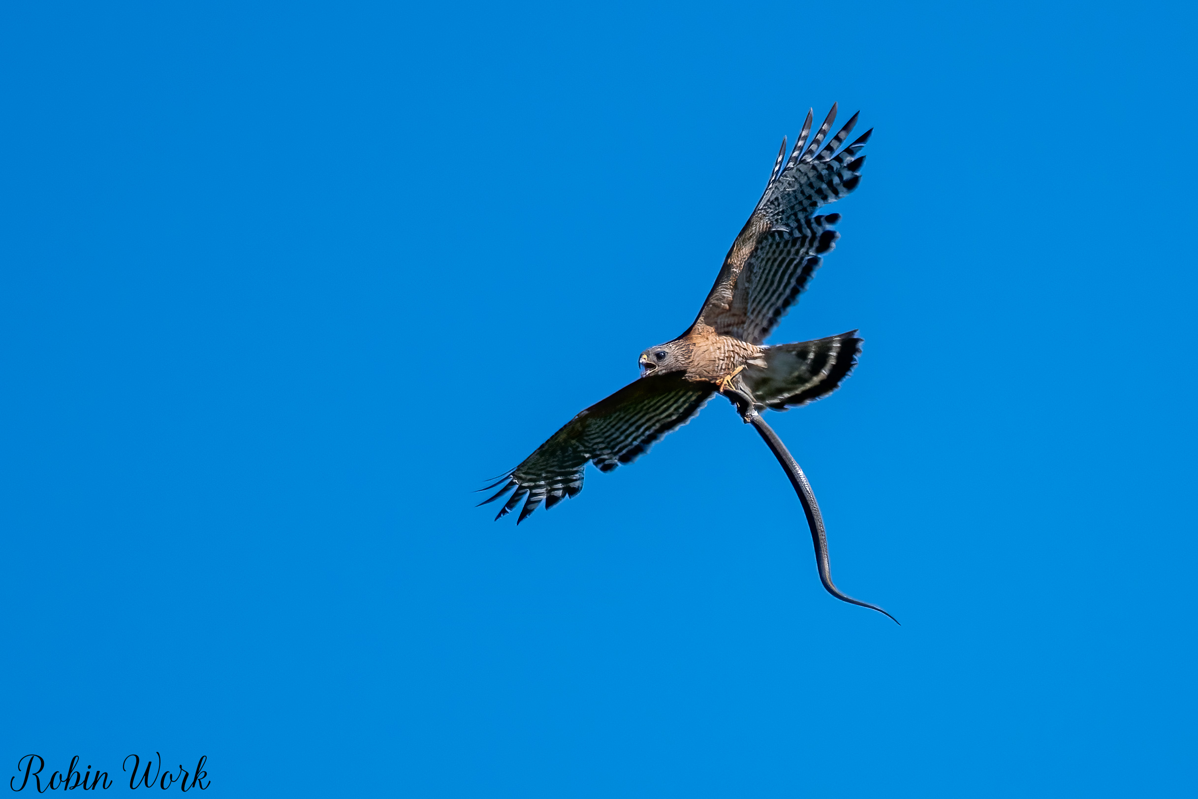 20210622untitled-RD5_0356-Edit.jpg