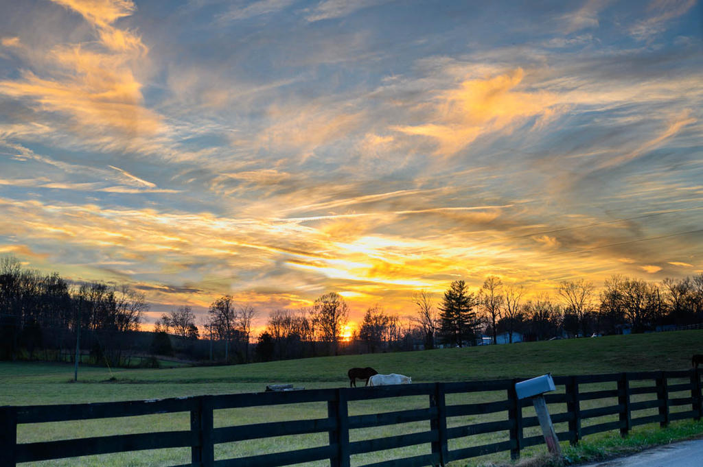 20211130 Visit and Road Trip-8607-Edit.jpg