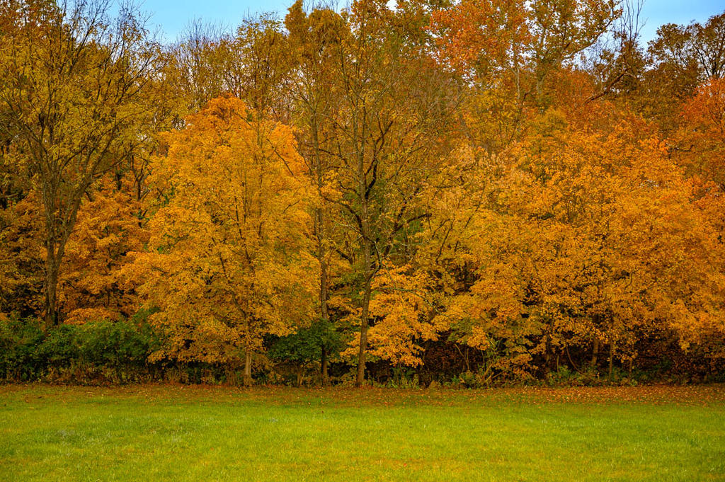 20221017 Country Roads-2741.jpg