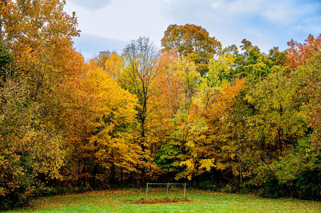 20221017 Country Roads-2745.jpg