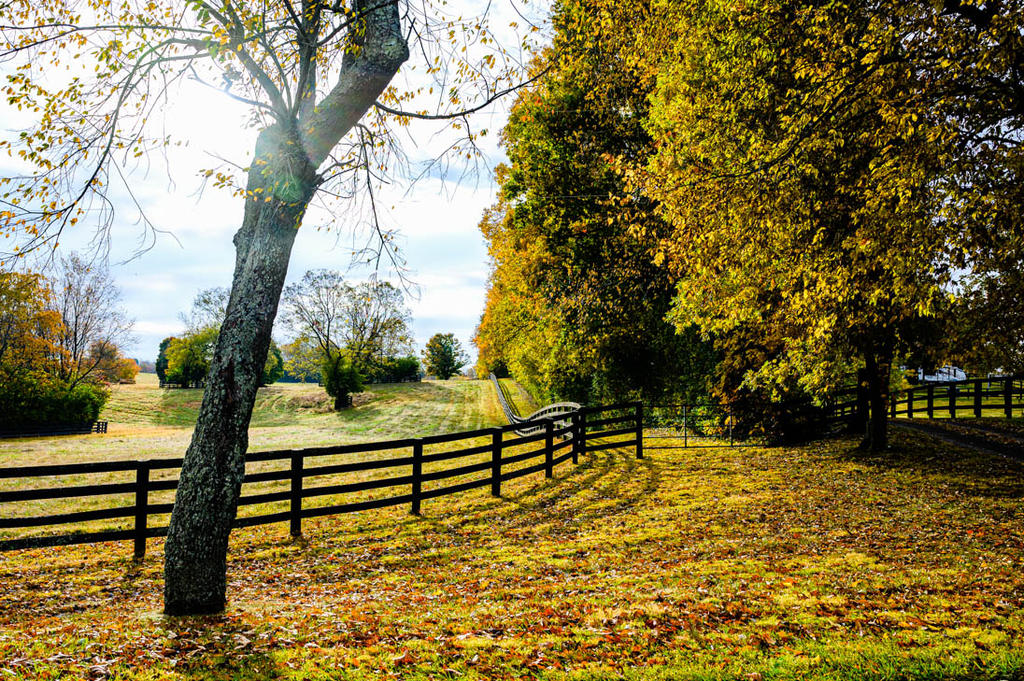 20221017 Country Roads-2761-Edit.jpg