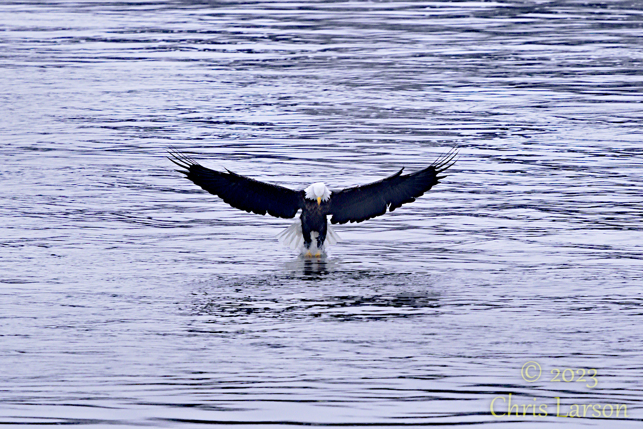 2023-01-01_001-jpg.386579