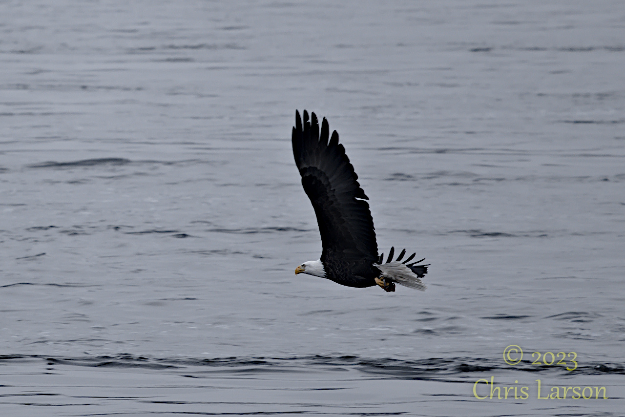 2023-01-01_003.jpg