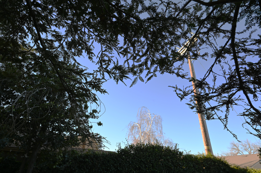 2023-01-11_15-41-06x1s.jpg