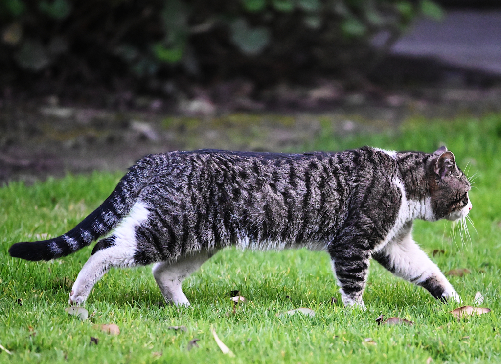 2023-01-26_16-09-05-3-crops-jpg.387636