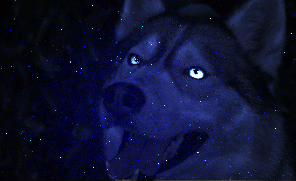 2023-02-02_15-51-14xyz-jpg.387771