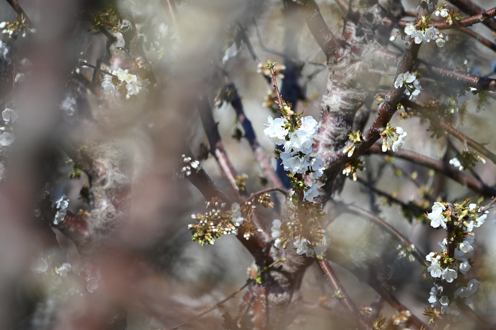 2023-03-16_14-34-34s-jpg.389690