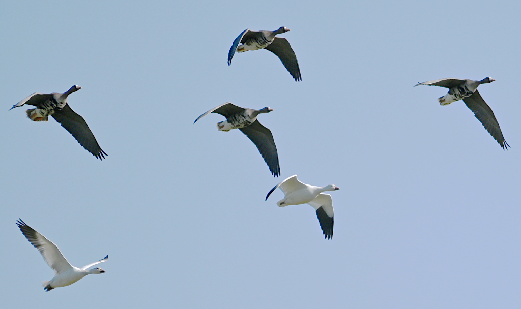 2023-03-16_15-00-24gimpcrop1s.jpg