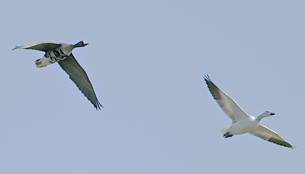 2023-03-16_15-00-24gimpcrop2s.jpg