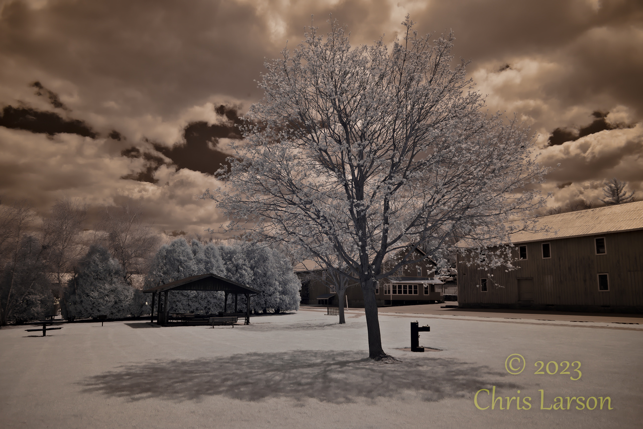 2023-04-26IR01.jpg