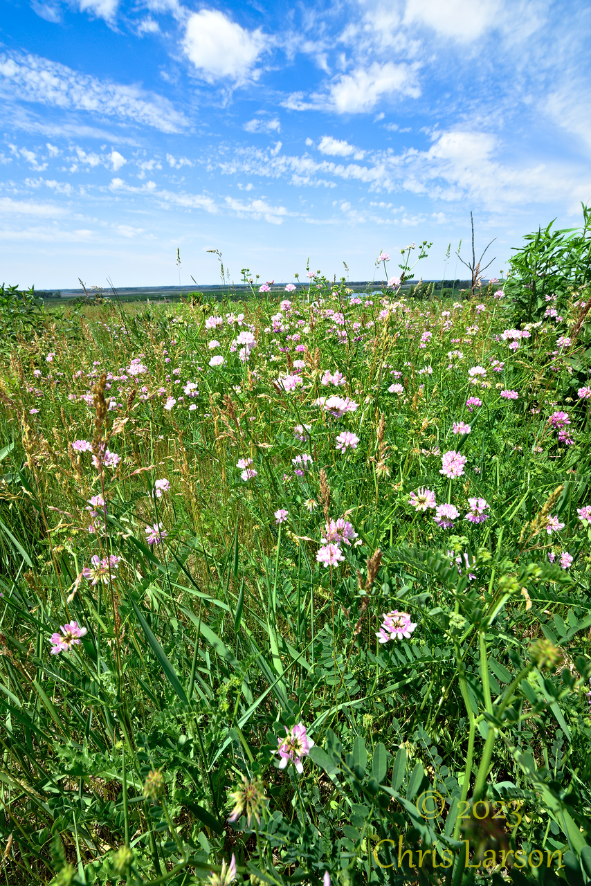 2023-06-09_Horicon_Marsh01.jpg