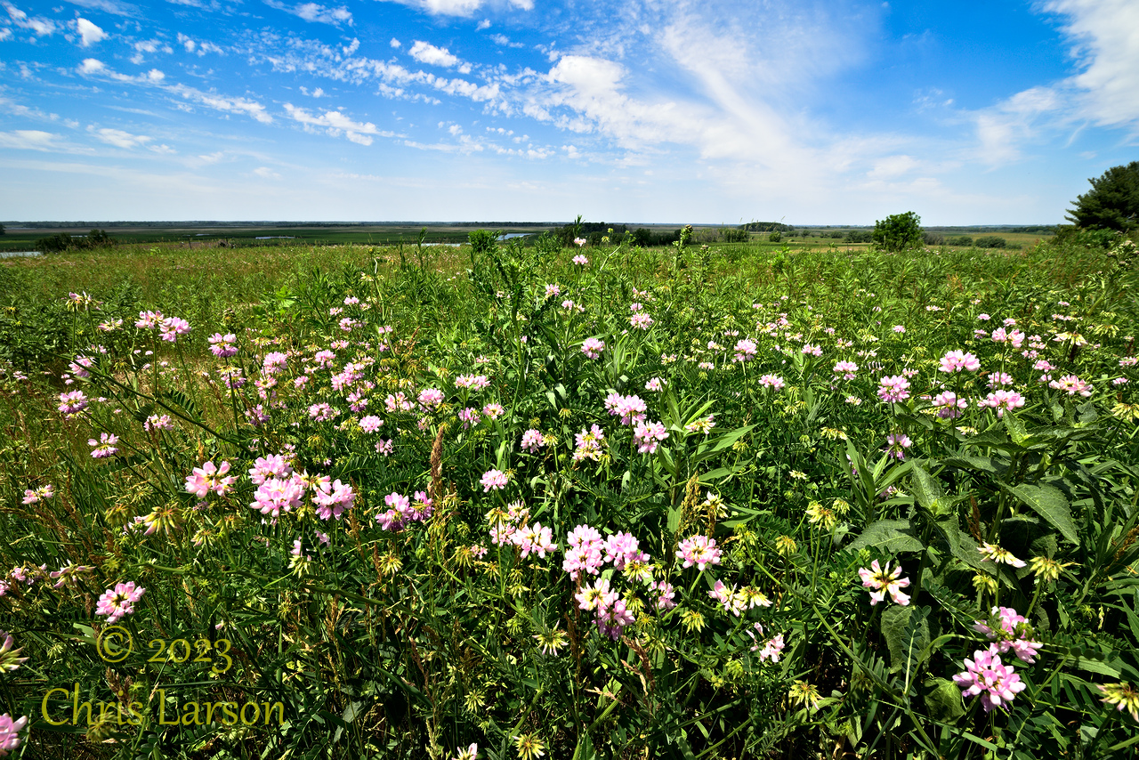 2023-06-09_Horicon_Marsh02.jpg