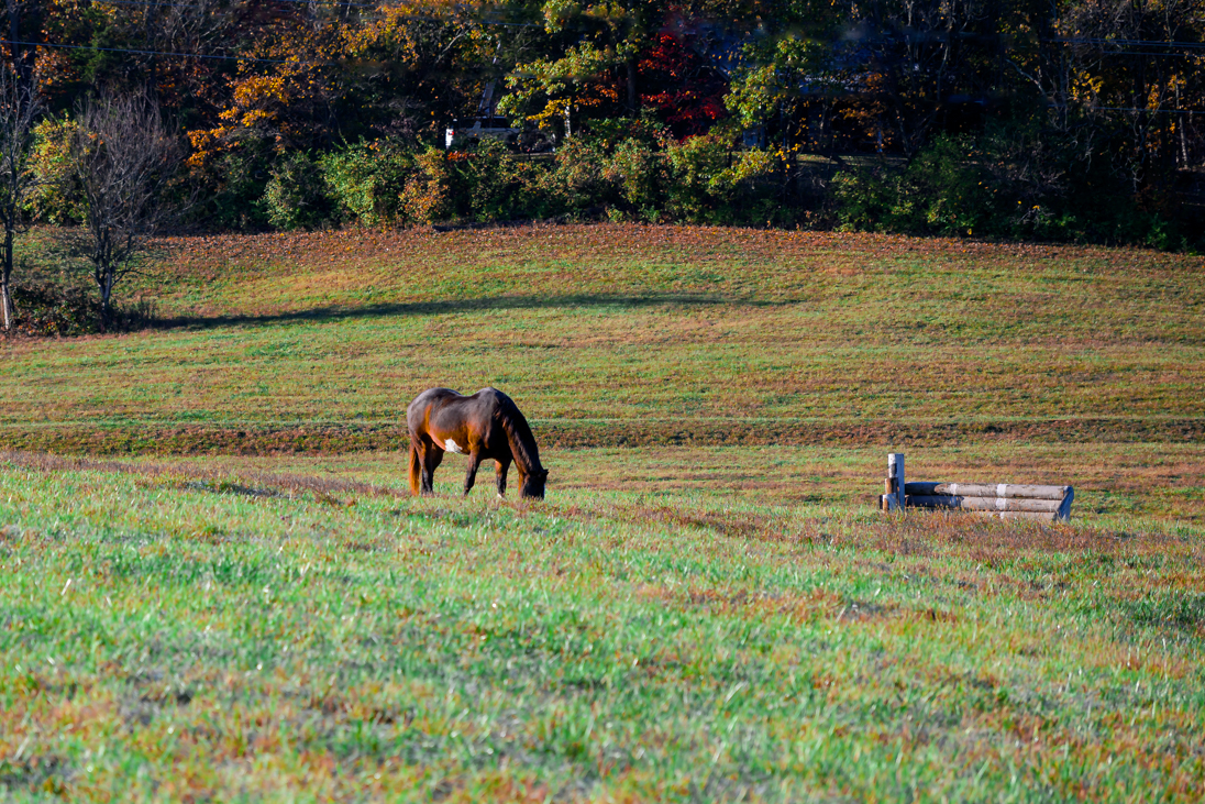 20231031Tues Morning-2817.jpg