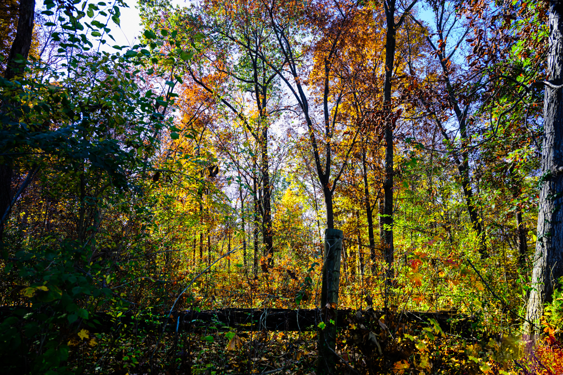 20231031Tues Morning-2884.jpg
