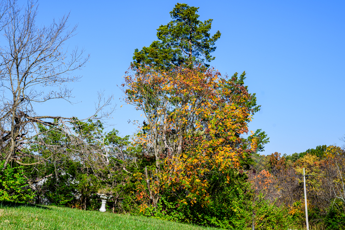 20231031Tues Morning-2929.jpg