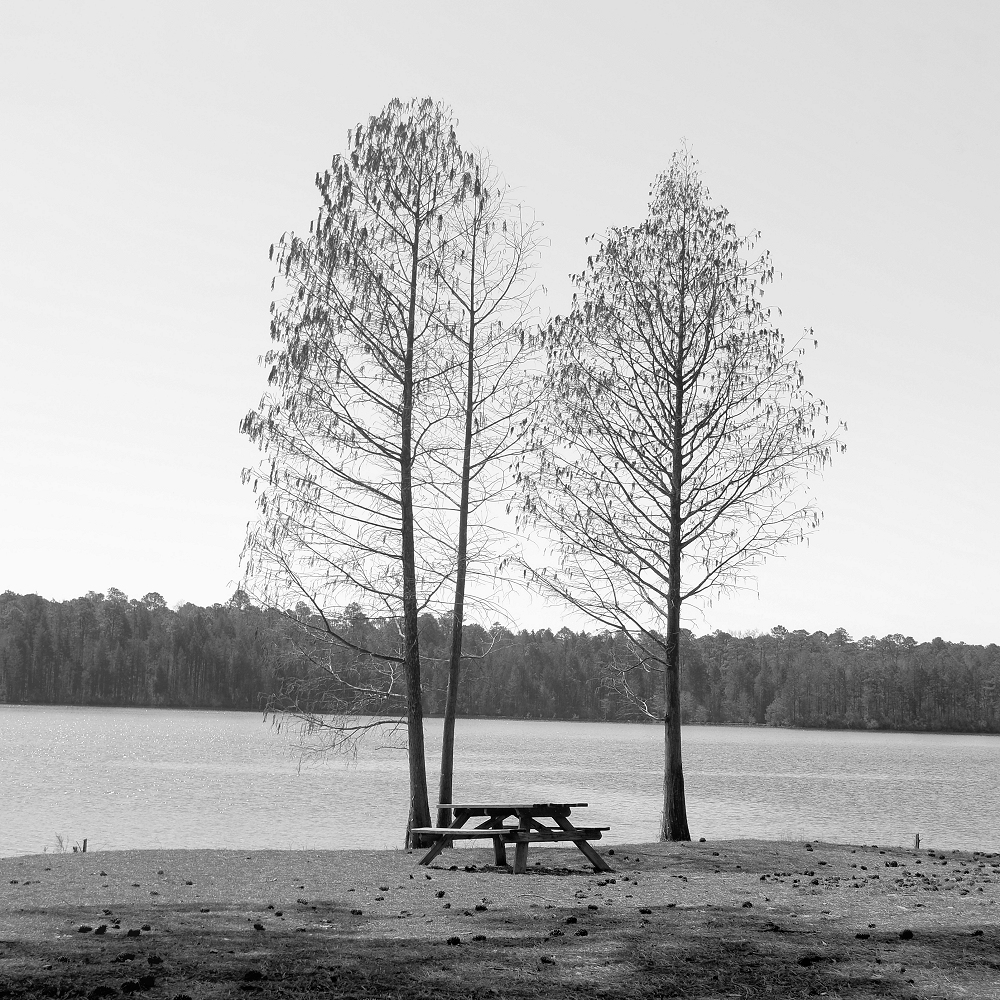2024-03-19 001 Cheraw State Park - for upload.jpg