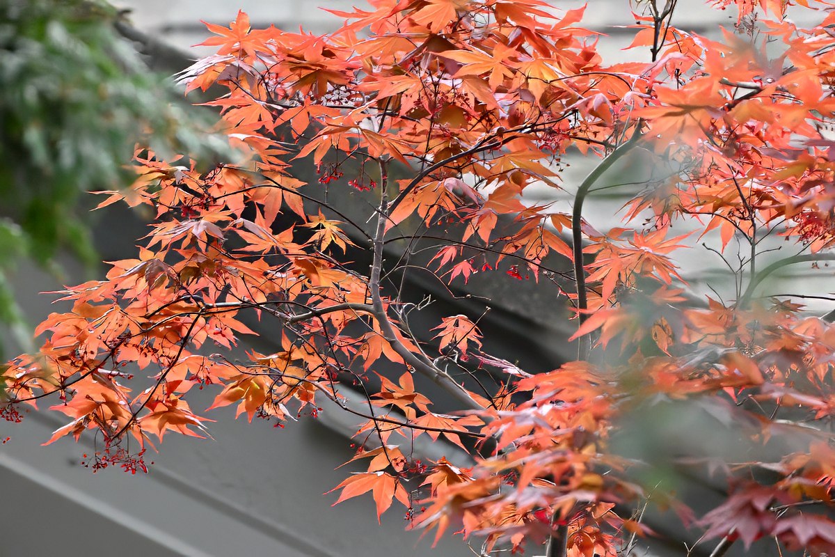 2024-04-18_16-28-06sxx-jpg.404392