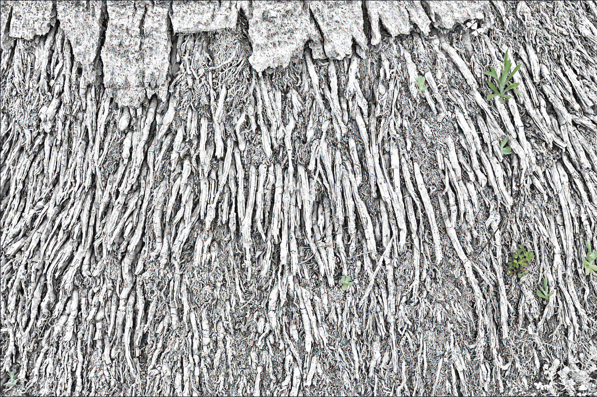 2024-05-02_18-48-44XsT.png