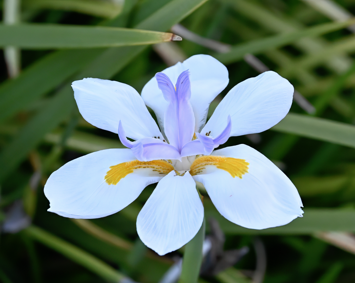 2024-05-02_18-51-12GsT1.png