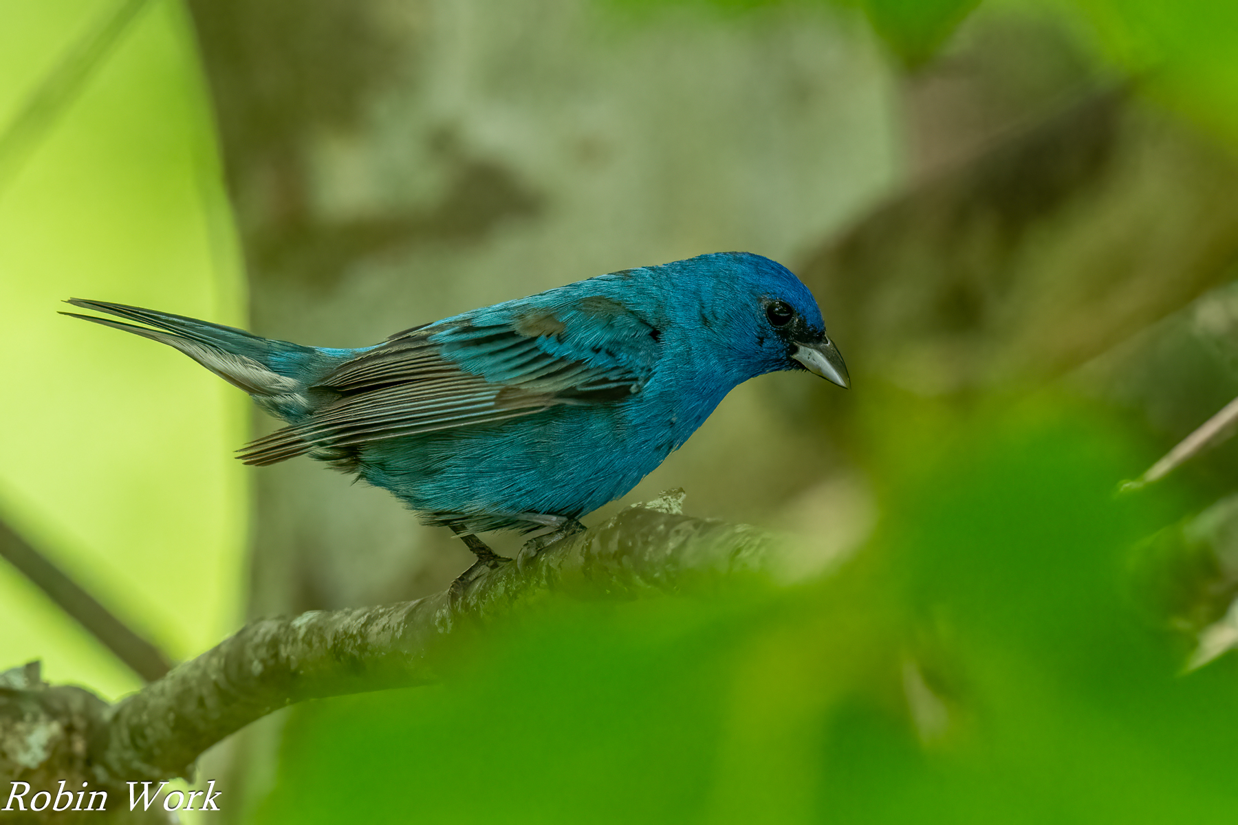 20240603-RD5_1273-Edit.jpg