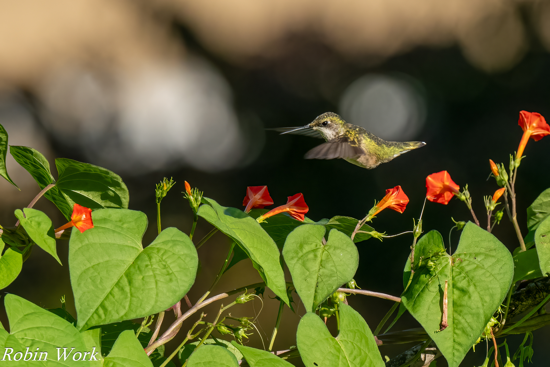 20240814-RD5_2697-Edit.jpg