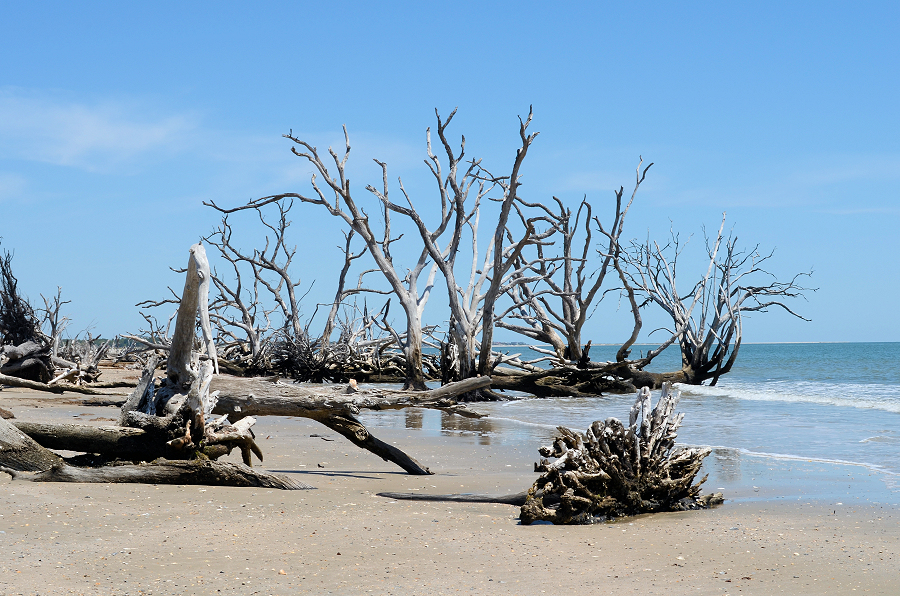 2025-04-19 003 Botany Bay SC - for upload.jpg