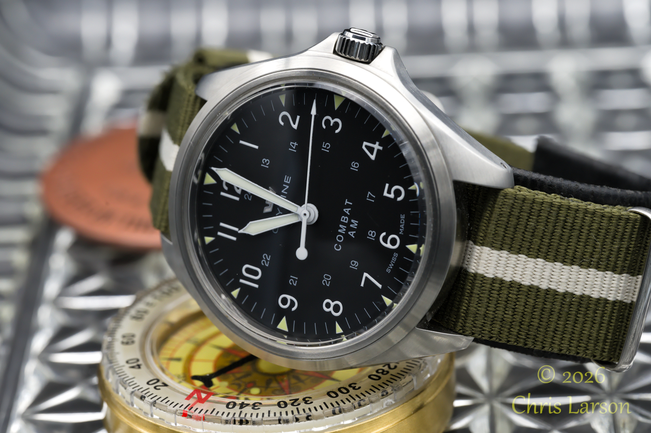 2026-03-21 Glycine02.jpg