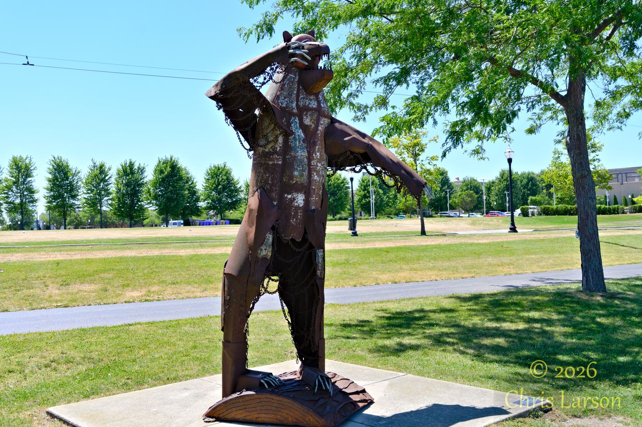 2026-07-29_01 Bear.jpg