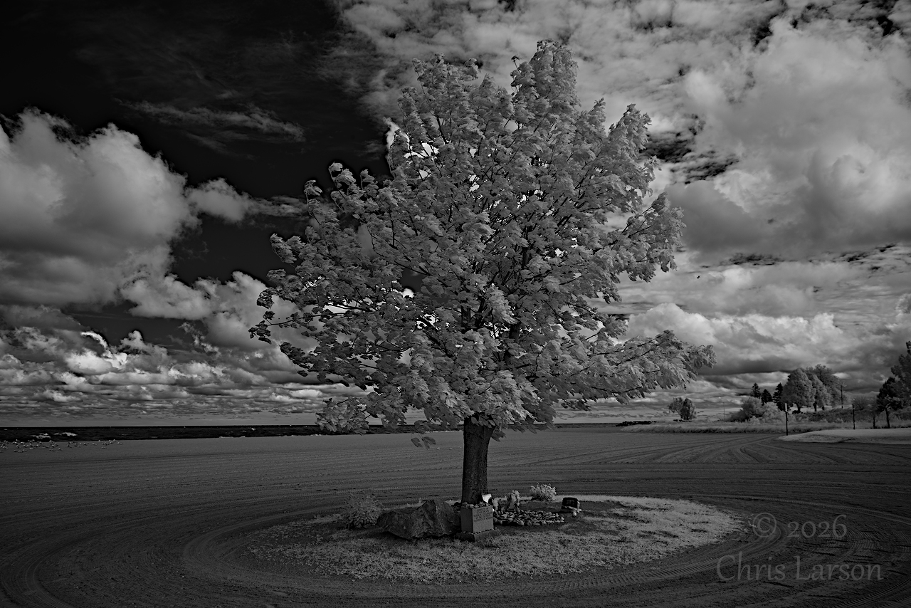 2026-09-21 BW Landscape Kenosha WI.jpg