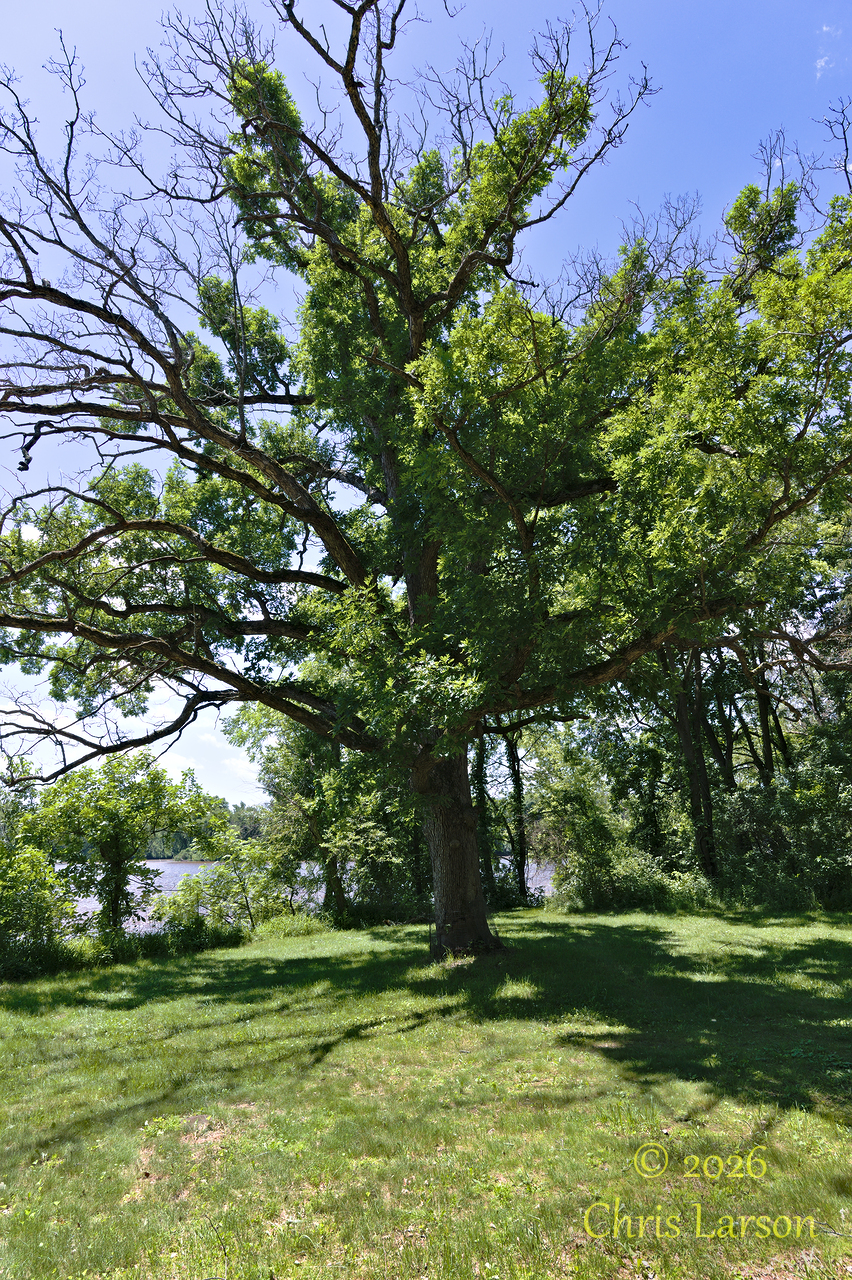 2026-6-12 Bloyer Mounds A.jpg