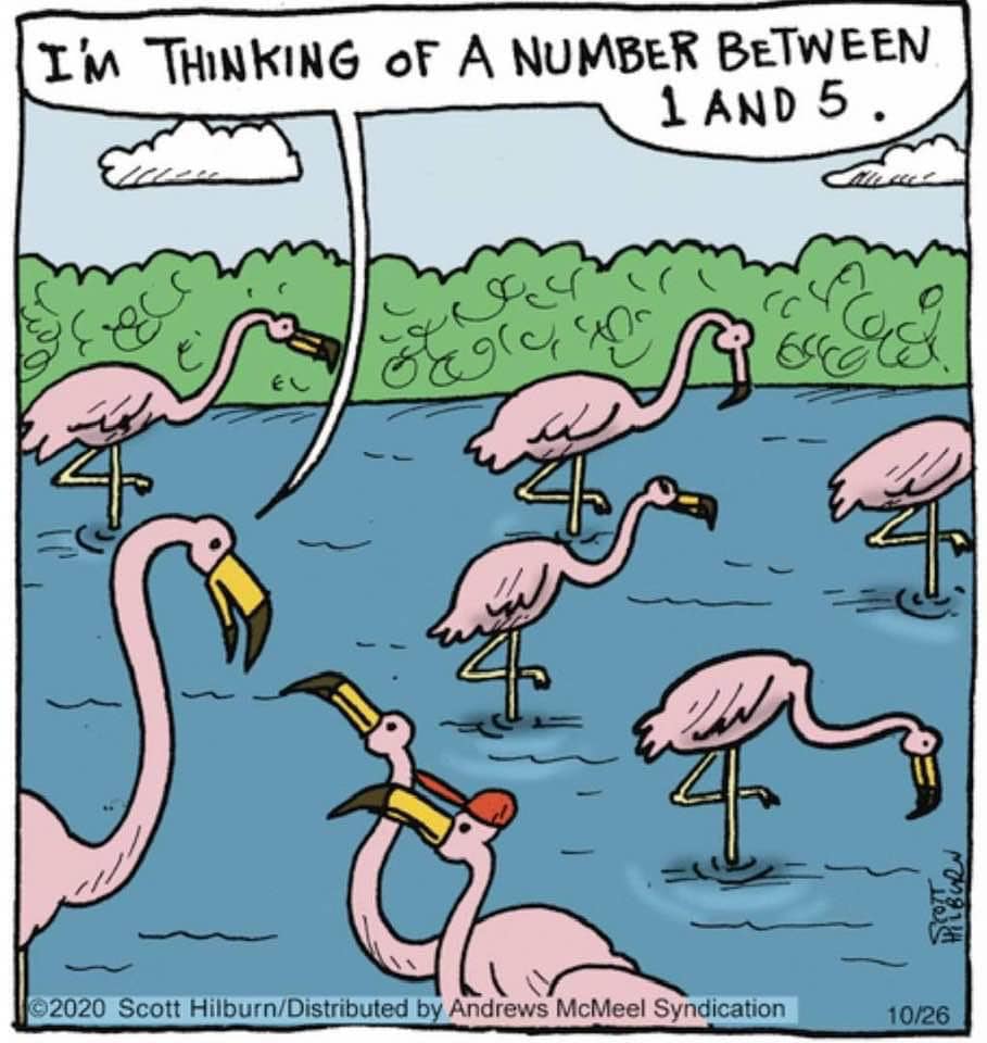 206908834_10225010084669653_7027258604150992784_n.jpg