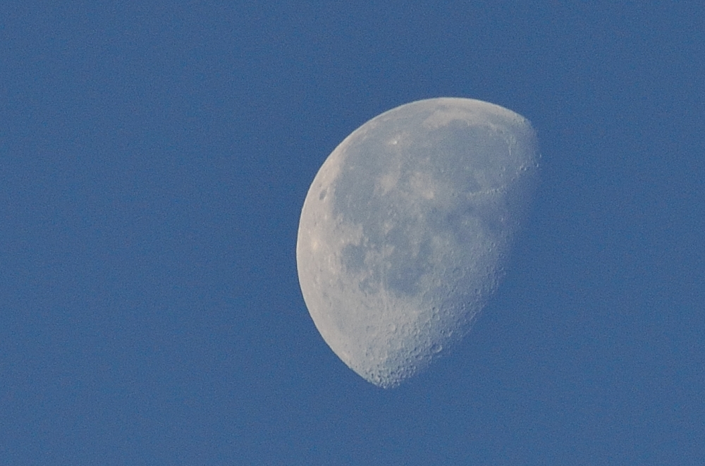 20th Apr 2014 008.JPG