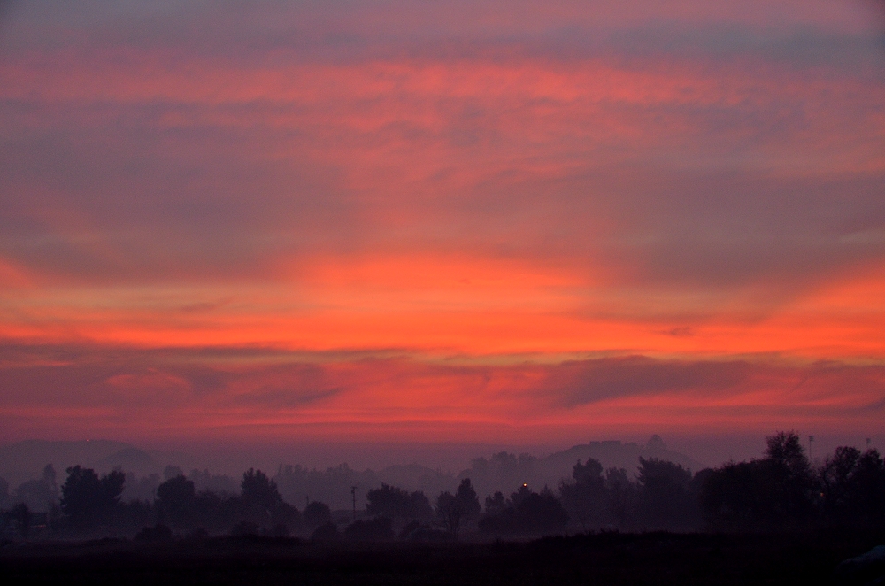 20th Dec 2014 002.JPG