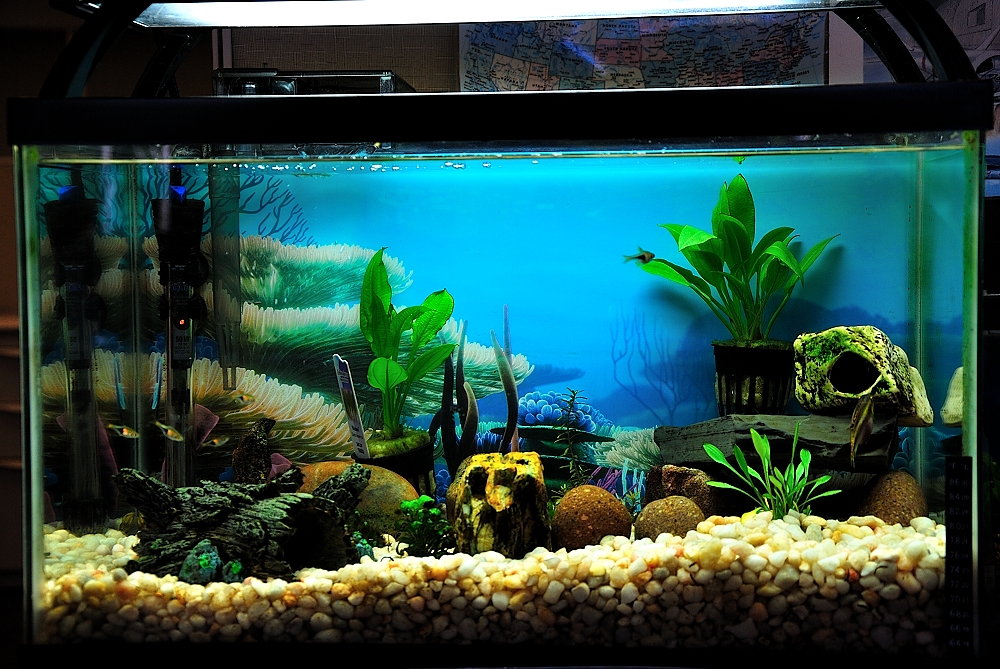 20th Jan 2014 001.JPG
