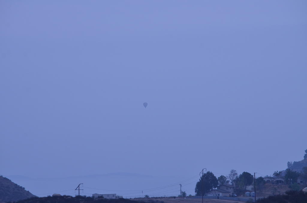 20th July 2013 006.jpg