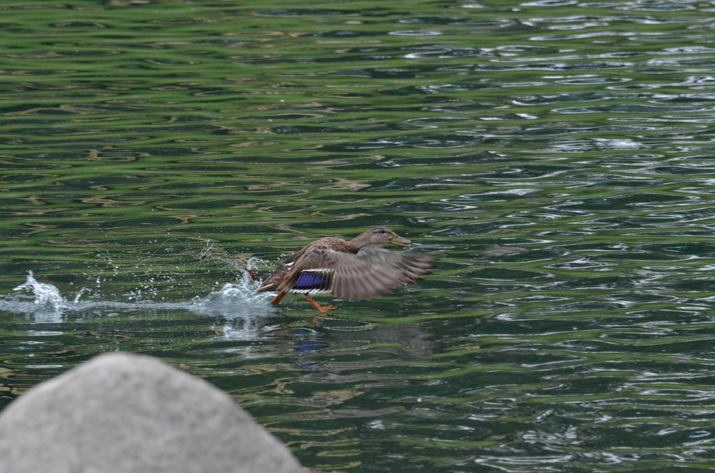 20th July 2013 075.jpg