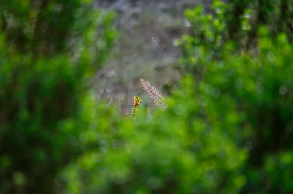 20th Mar 2014 011.JPG