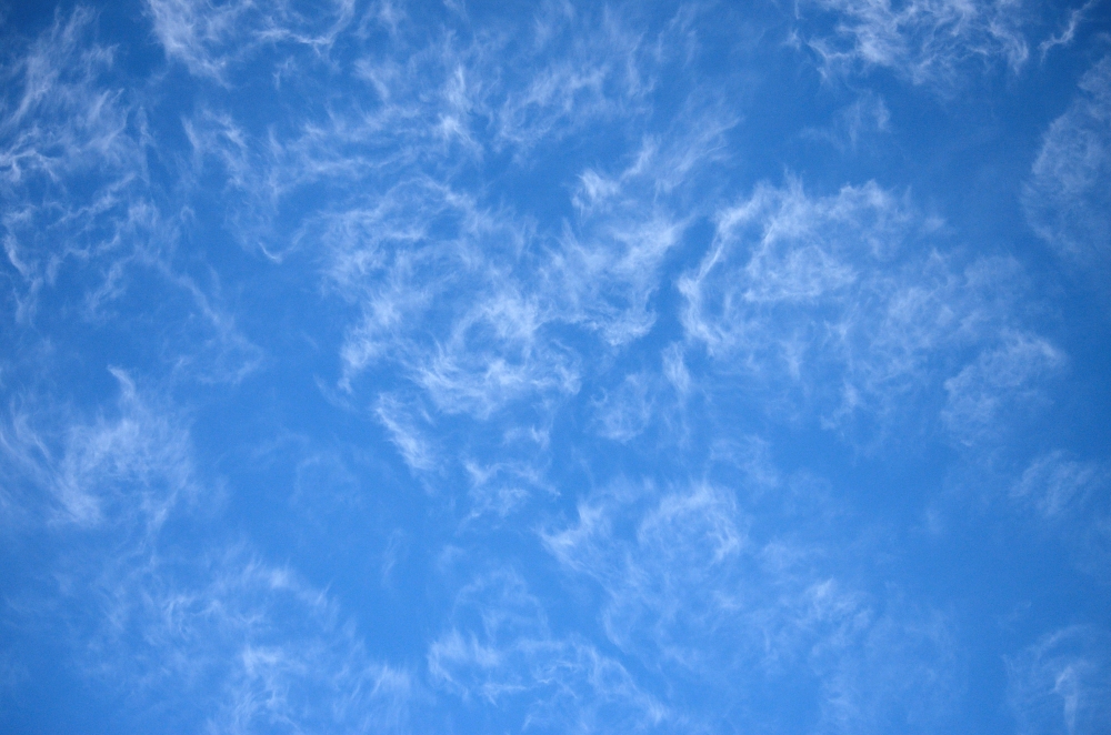 20th May 2015 012.JPG