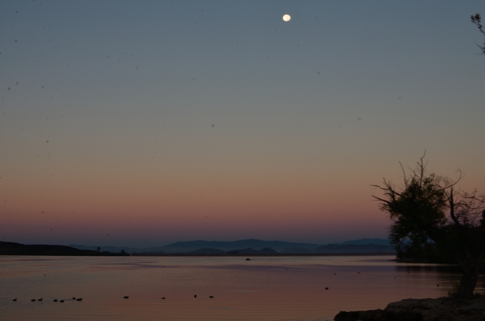 20th Oct 2013 012.JPG