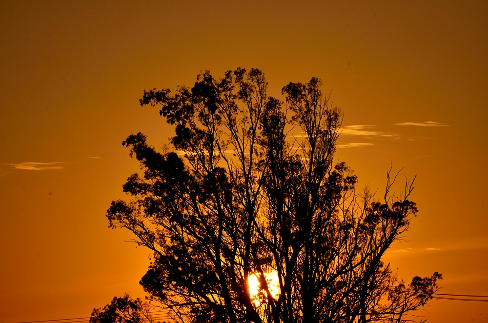 20th Oct 2014 031.JPG