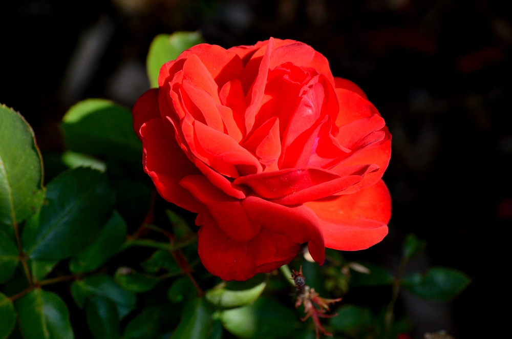 21-22nd May 2015 001.JPG