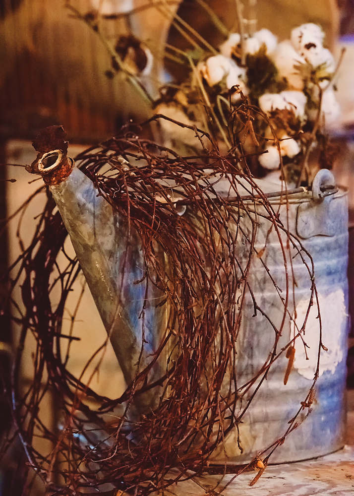 21 April 2016 - Entangled Watering Can.jpg