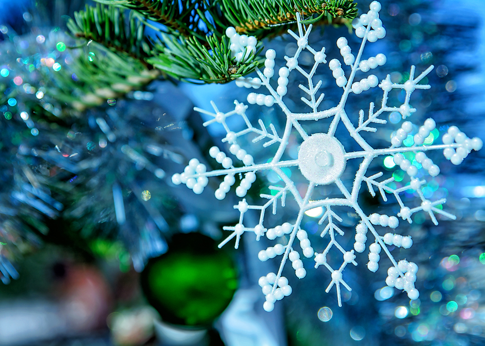 21 December 2015 - Festive as I Wanna Be, #2.jpg