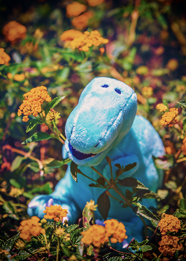 21 June 2015 - Dino's Big Day Out #1.jpg