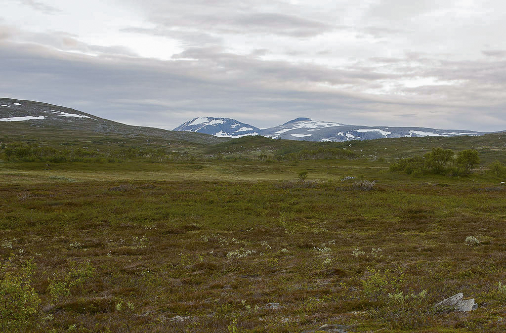 219648d1468419921-400-asa-not-akr_3012heldal-Corrected.jpg